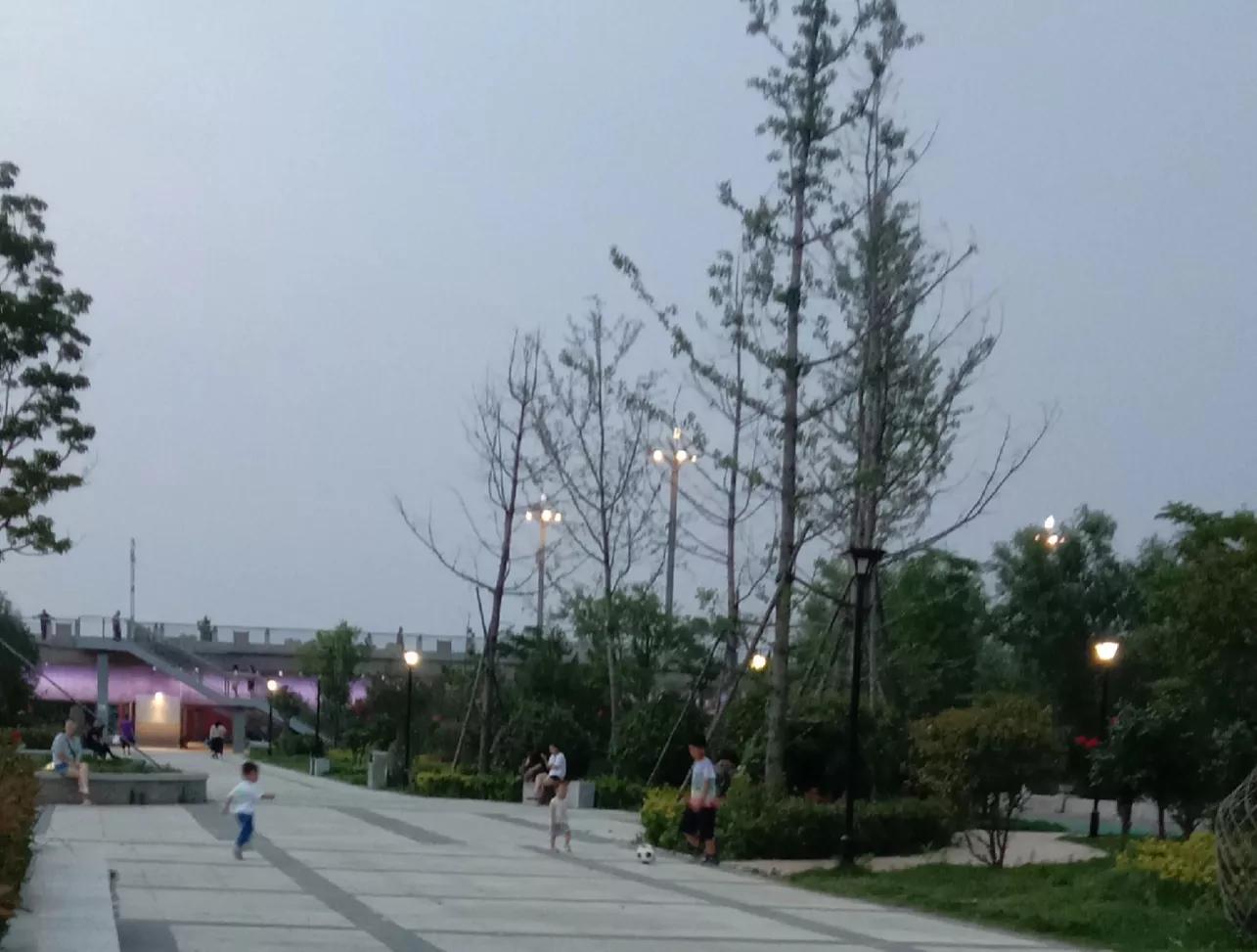 外向的孩子,活泼的儿子