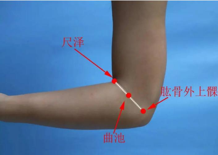 手五里——调理“肩周炎、偏瘫、落枕、嗜睡、颈淋巴结核”穴位