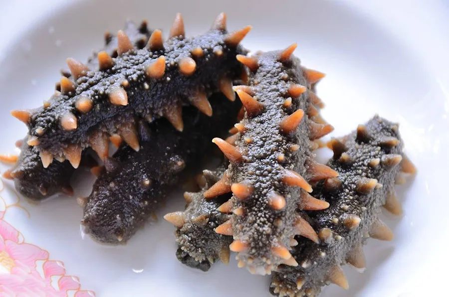 它历来被人们当作冬季进补的佳品,冬季滋补海参首选野生淡干海参