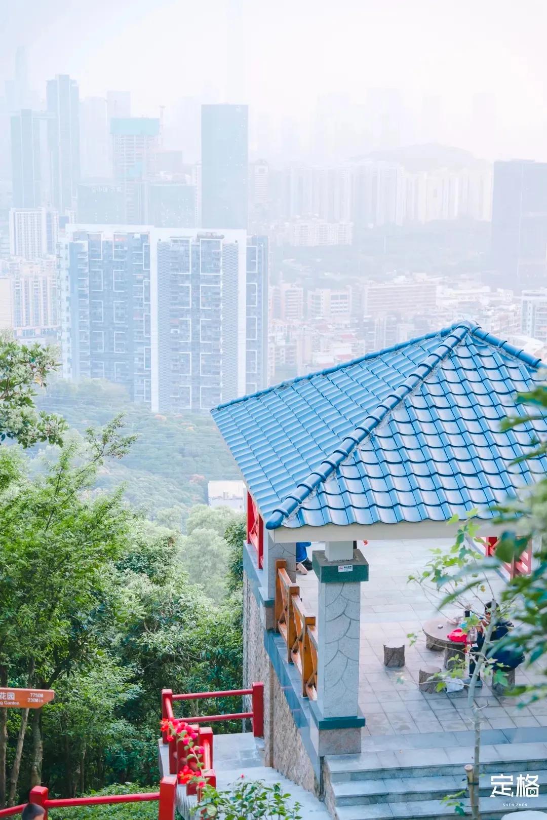 深圳最值得爬的景点,深圳十大最值得爬的山