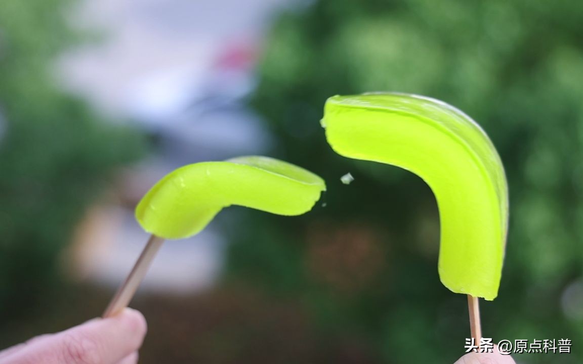 记忆中最好的十种美食,记忆中最难忘的十种美食