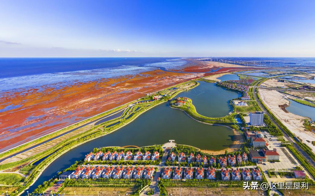 山东9个5a免费景区名单2020,山东免费4a景点排名一览表