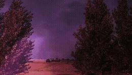 搞笑gif开心一刻这大概就是爱情吧,搞笑gif为了胜利我将不择手段