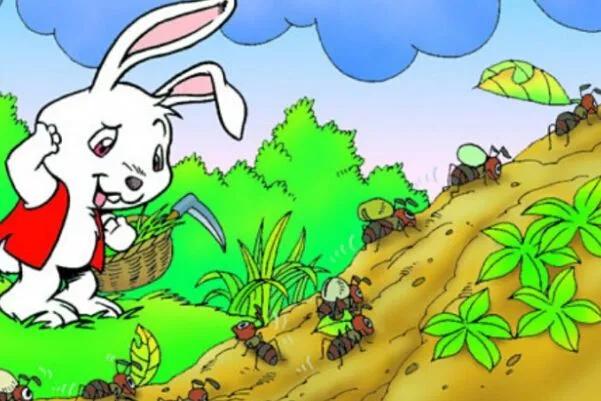 毛毛虫故事睡前听,儿童睡前故事毛毛虫的故事