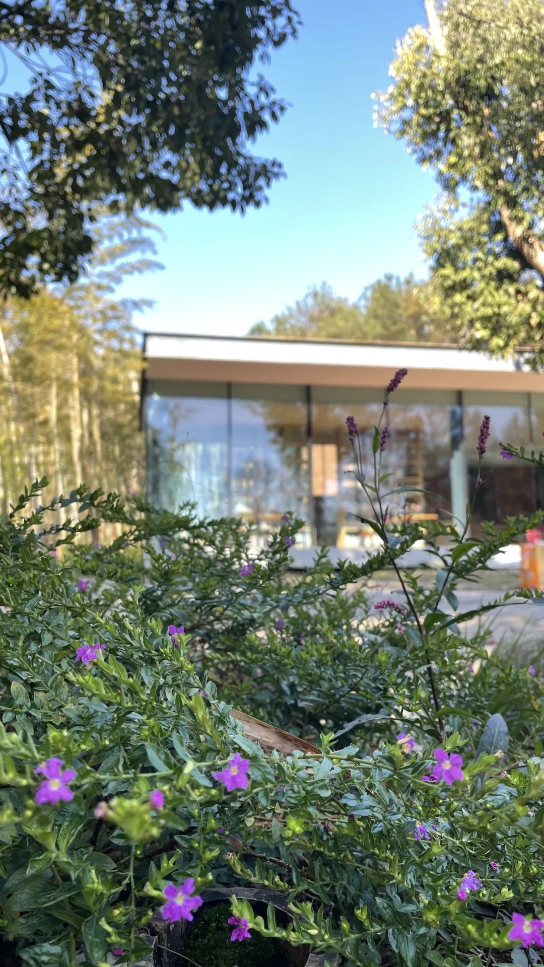 适合春天去的美宿,湖景美宿推荐