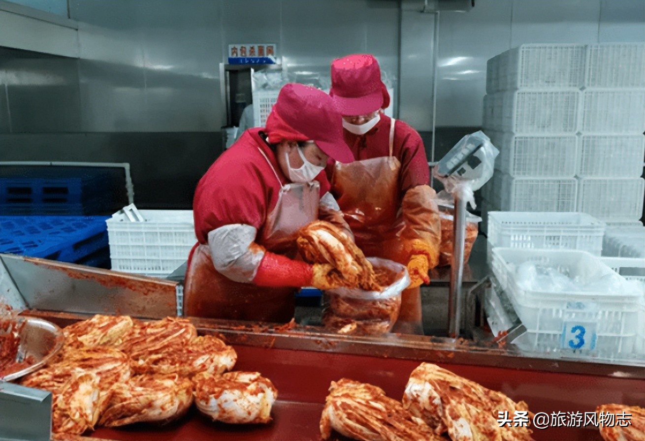 泡菜的种类一共有多少种,有哪几种泡菜