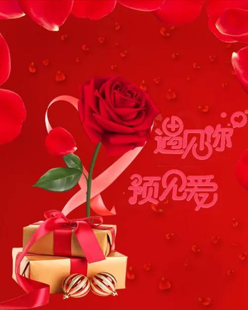 520浪漫玫瑰花壁纸,红玫瑰花壁纸大图