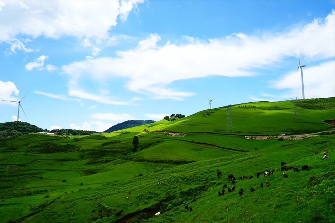 普者黑省旅游景点全攻略,普者黑风景区一天游玩攻略