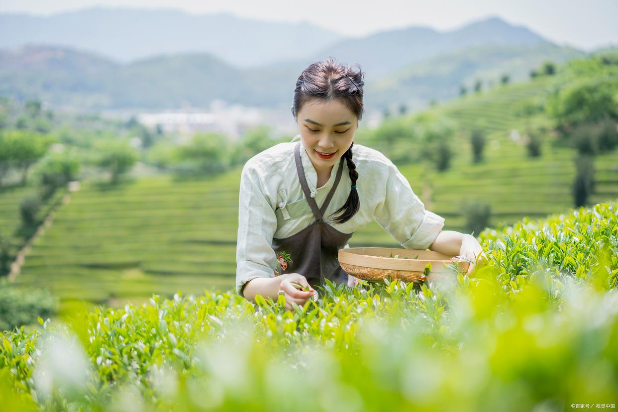 2023年农业的新政策补贴,2023年农业综合补贴政策