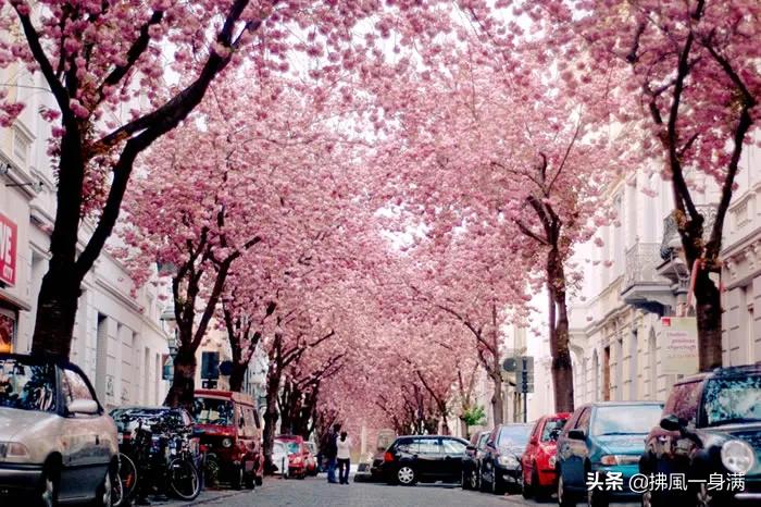 10条风景如画的街道，你应该在死前走过