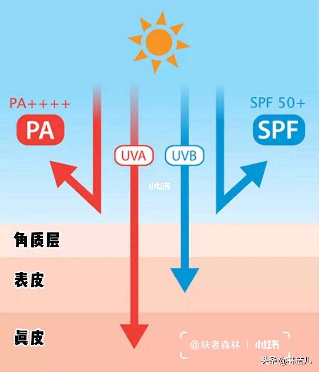 从小美到大宋祖儿篇,从小可爱到大的明星宋祖儿