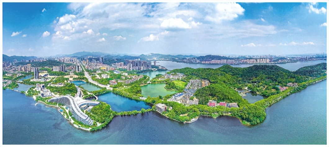 小燕子唱了一首歌,小燕子唱的很动听