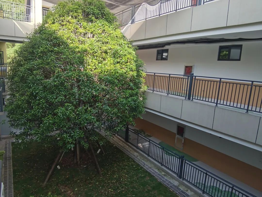 宜昌高新区有哪几个公立幼儿园,宜昌市最大的公立幼儿园