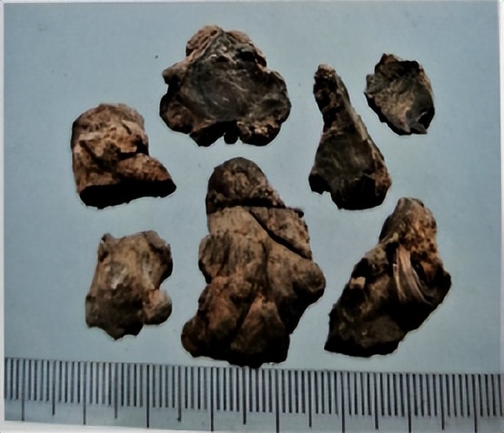 三七和金不换是一样的吗,金不换和三七是同一种中药吗