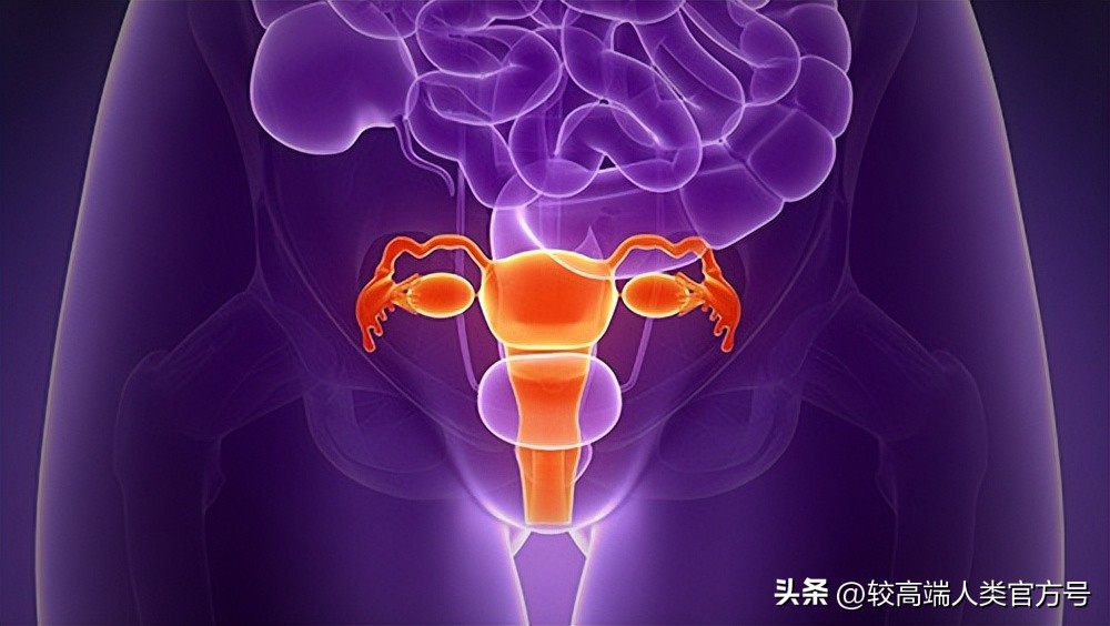 人类最深的洞,人类身上的洞