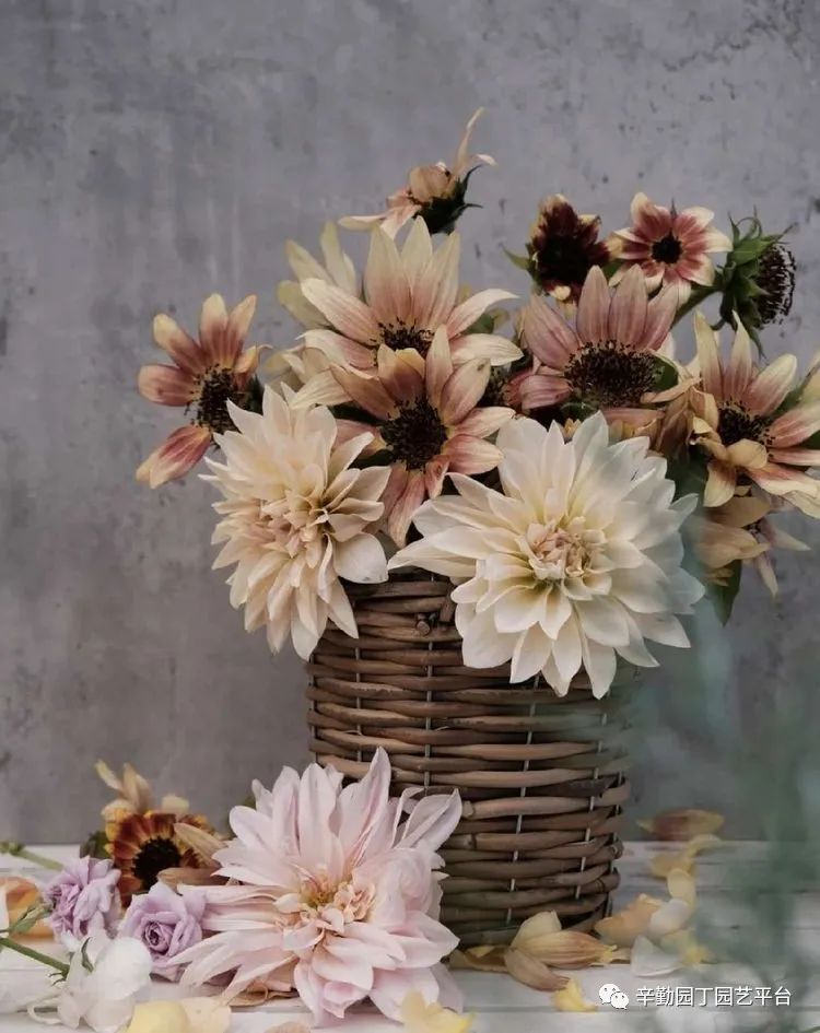 第八届园丁奖露台组《030号》洛基花园