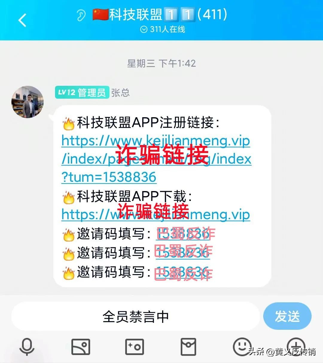 11月初最新互联网项目,今年有哪些互联网项目