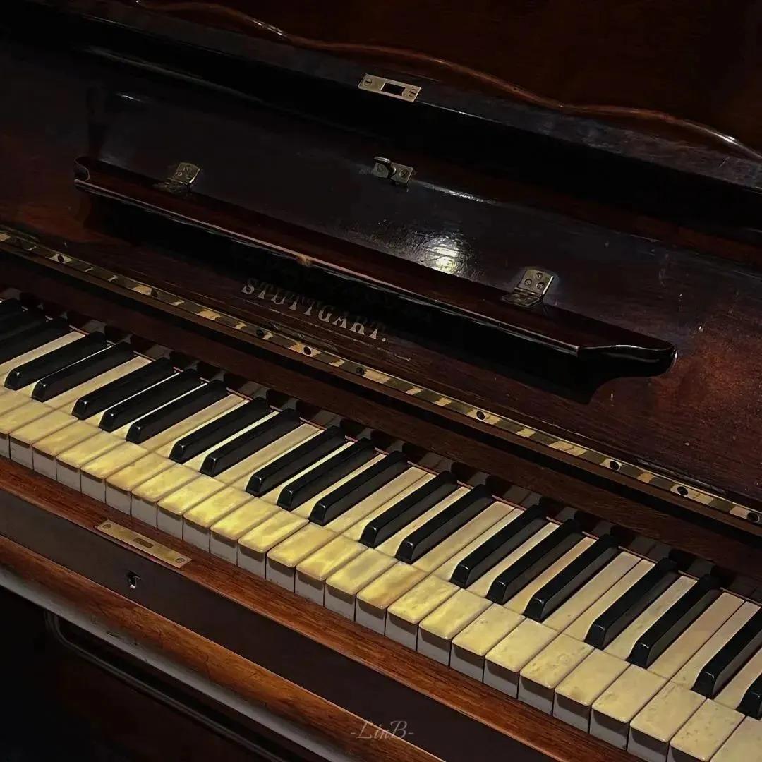 ins风黑色系女头,ins风黑色系美甲