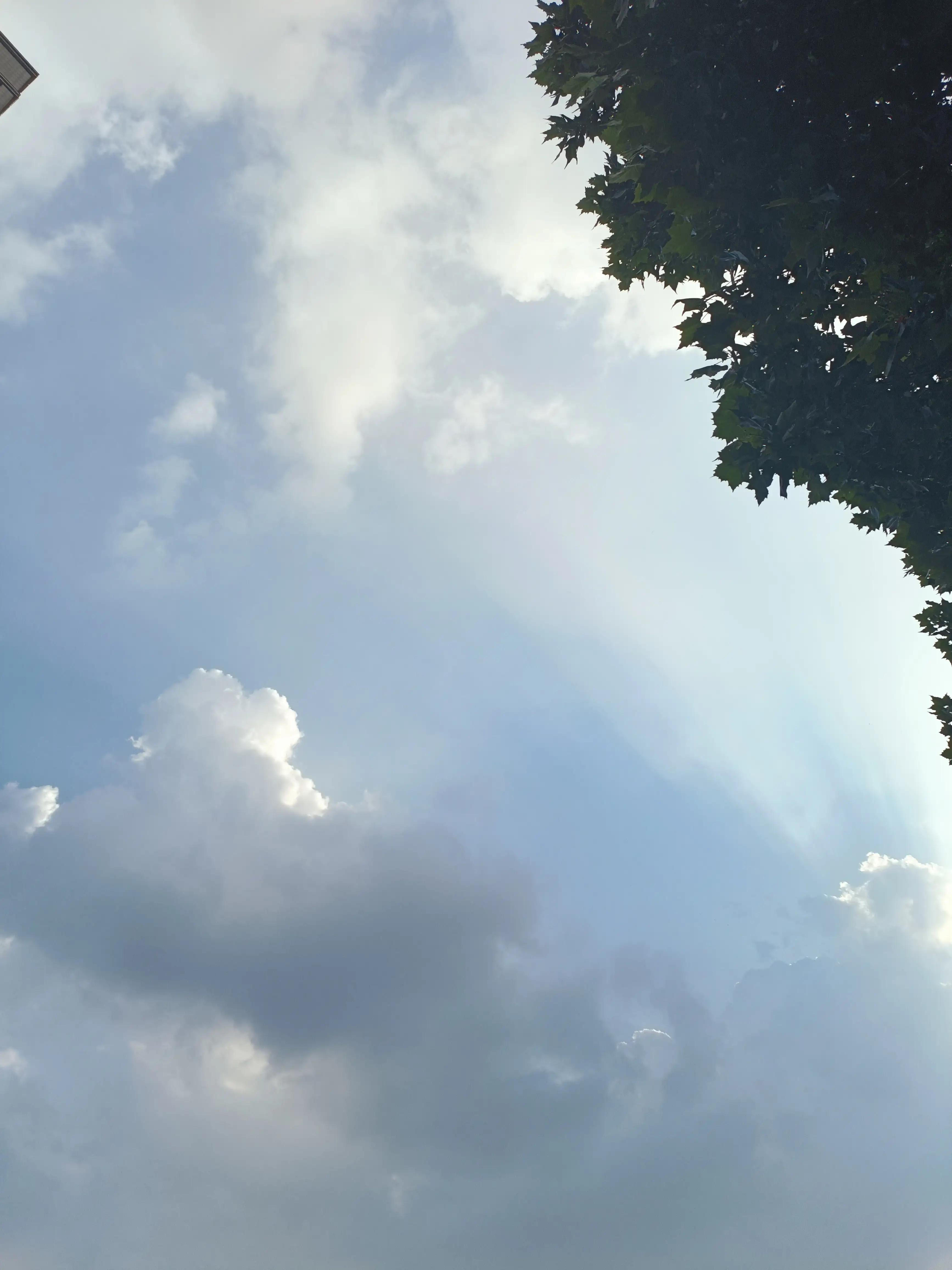 天要下雨娘要嫁人该不该去,天要下雨娘要嫁人有什么办法呢