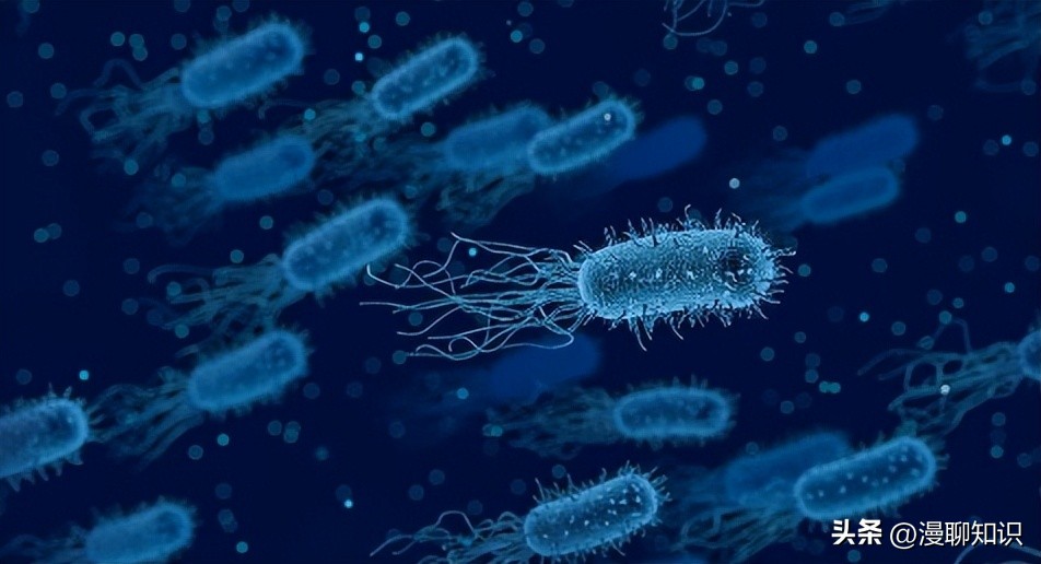 妇阴康洗剂的用途,妇阴康洗剂是抗生素药吗