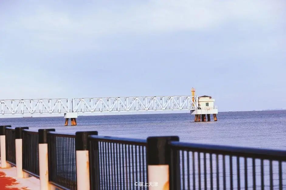 天津最好的私人公园,天津小众拍照圣地