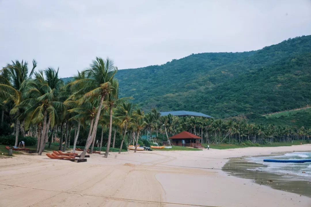 回族去三亚旅游攻略,三亚酒店推荐最全攻略