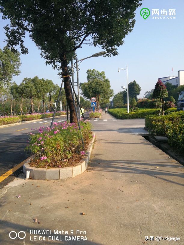 深圳徒步路线从梧桐山到盐田,深圳十峰大南山徒步最佳路线