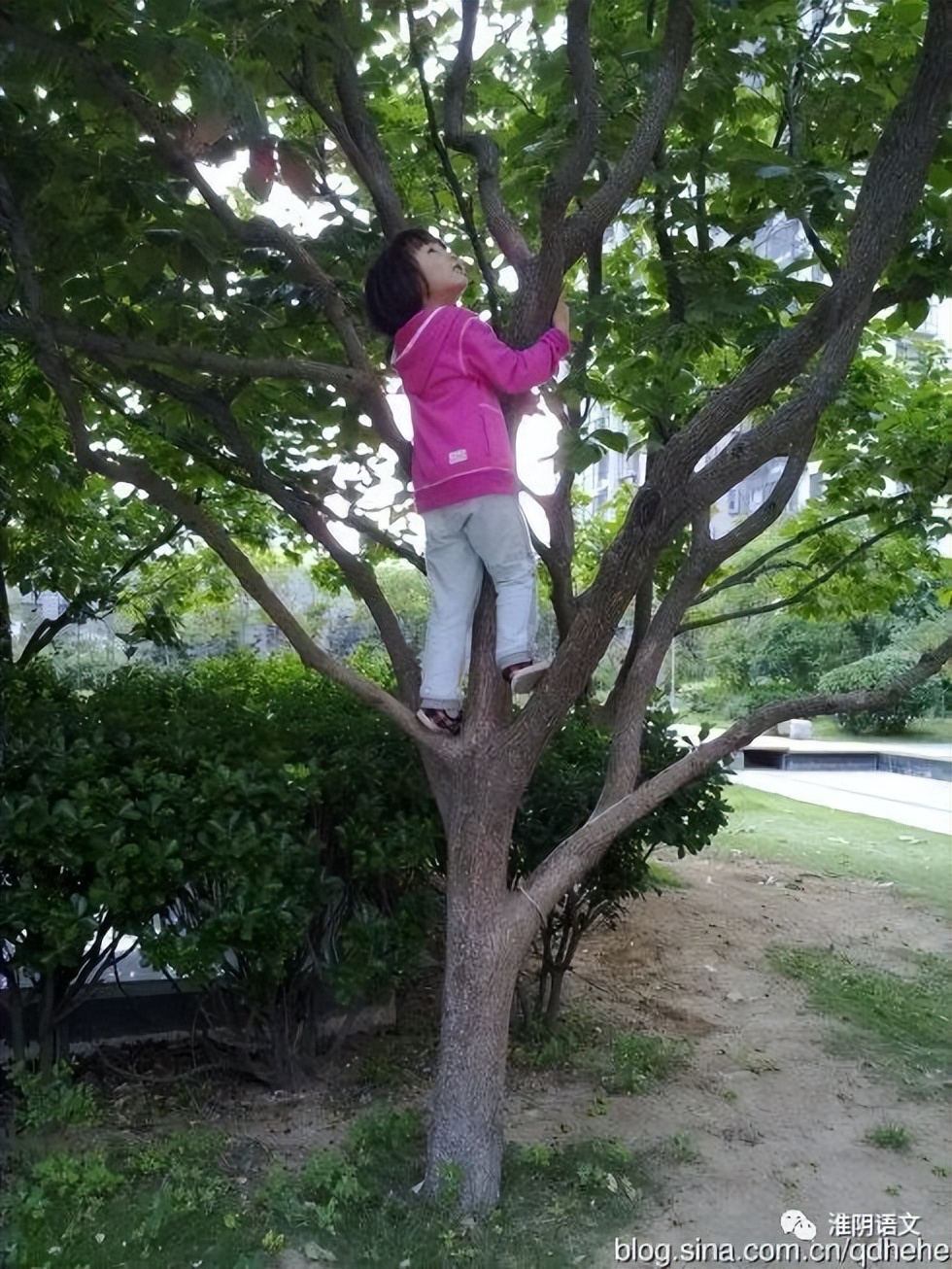 堵烟囱的方法,堵烟囱风水