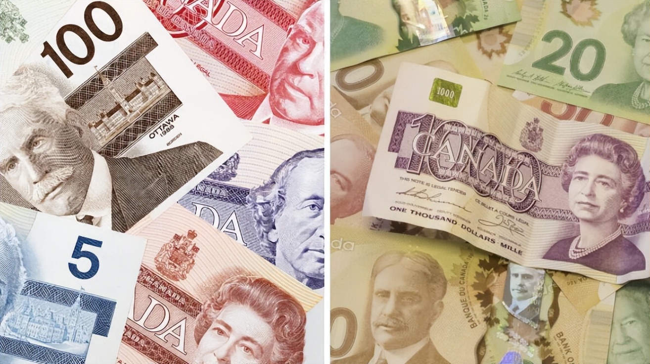 加拿大最大的纸币面额是多少,加拿大纸币2001版的介绍