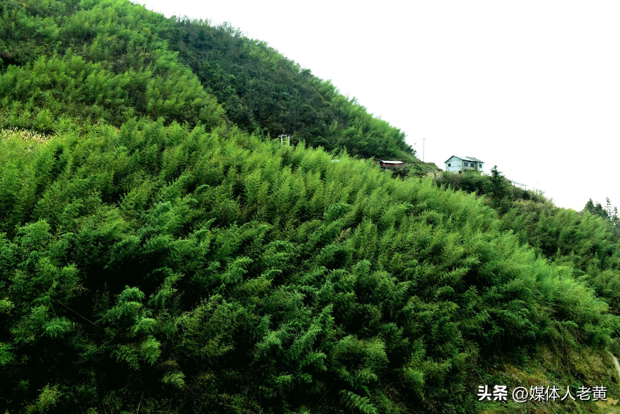 藤编工艺加工厂,藤编工艺品加工外发