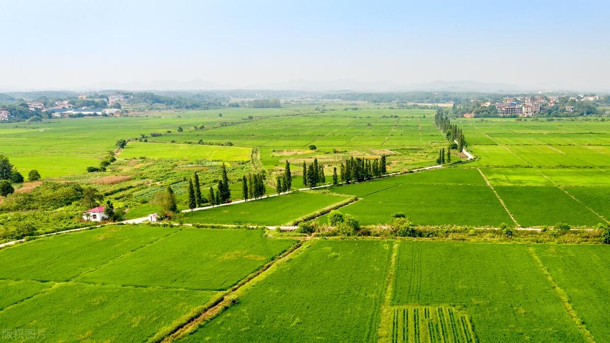土地集中供应对房地产影响,土地政策对房地产影响