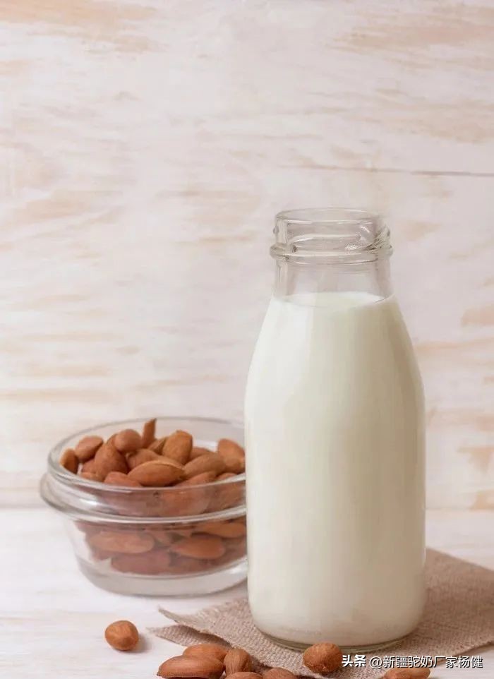 骆驼奶被称为什么呢,骆驼奶的真相大揭秘