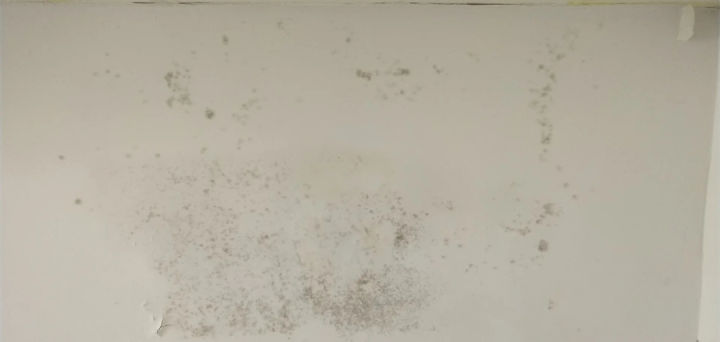 刷了一遍腻子长毛了怎么处理,腻子长毛晾干了就可以了吗