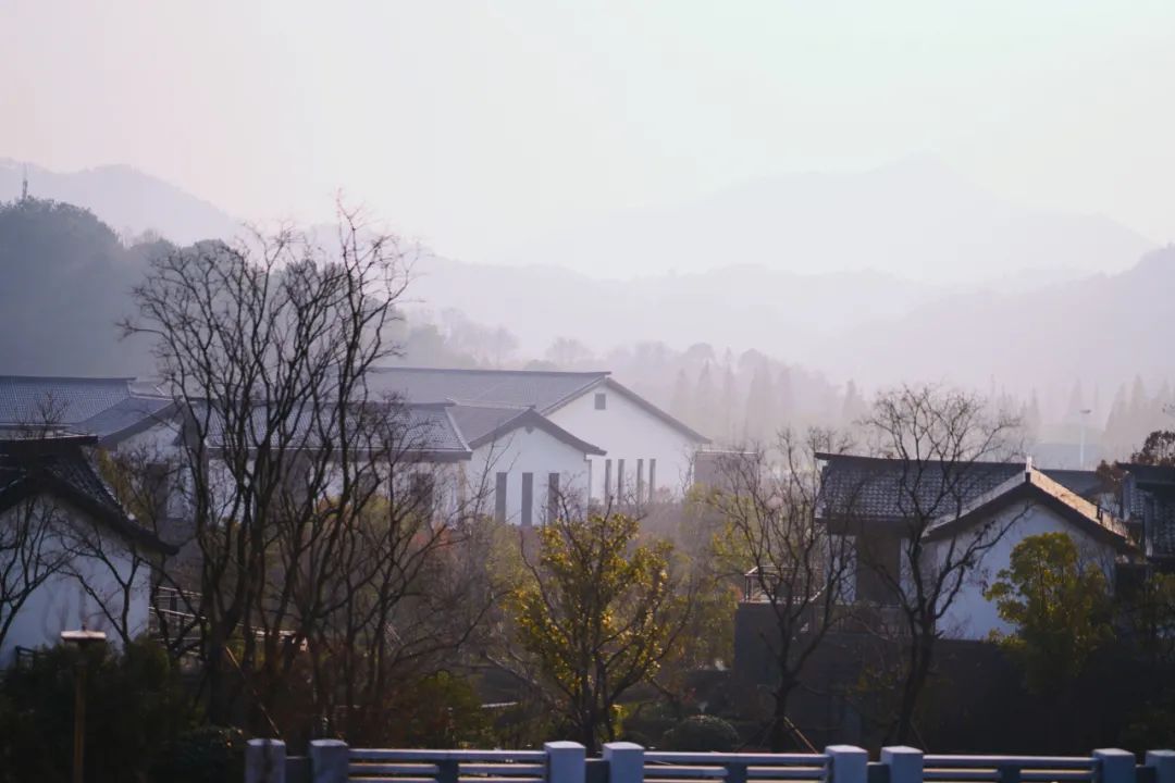 东钱湖有几个足球场,东钱湖最大酒店