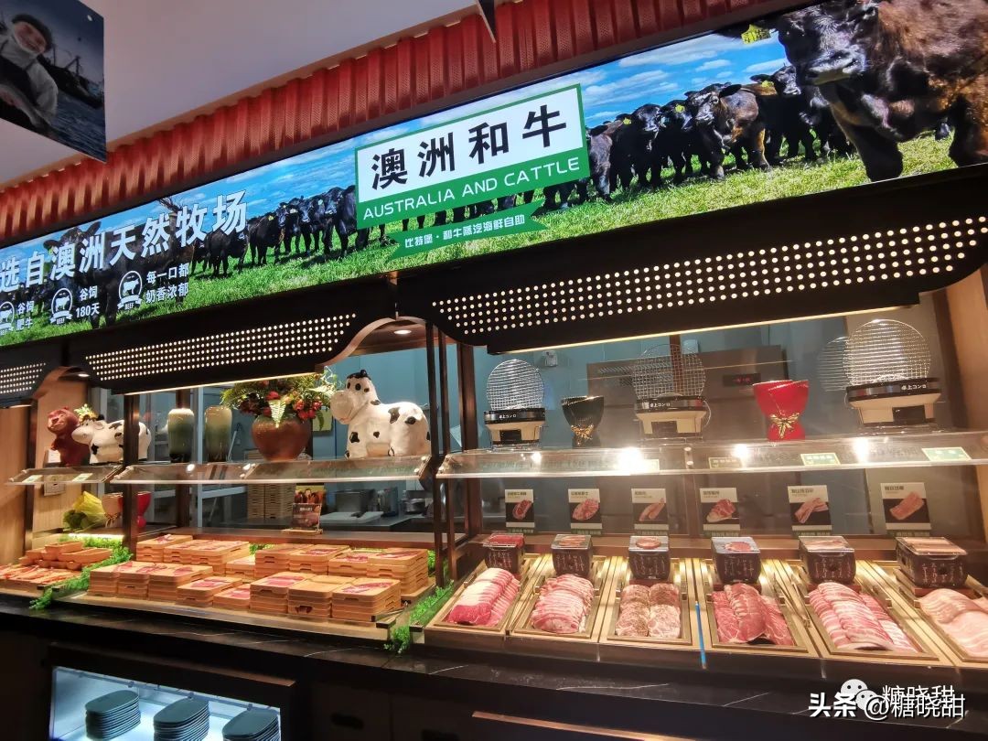 美食探店看着蒜蓉虾流口水,海鲜鲍鱼小龙虾螃蟹