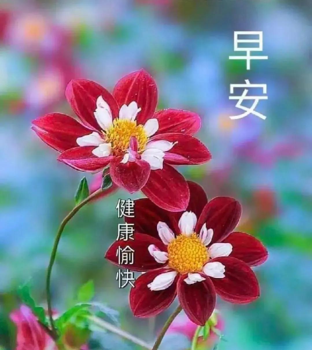 6月5日周一早安快乐！新的一天健康平安幸福安康图文