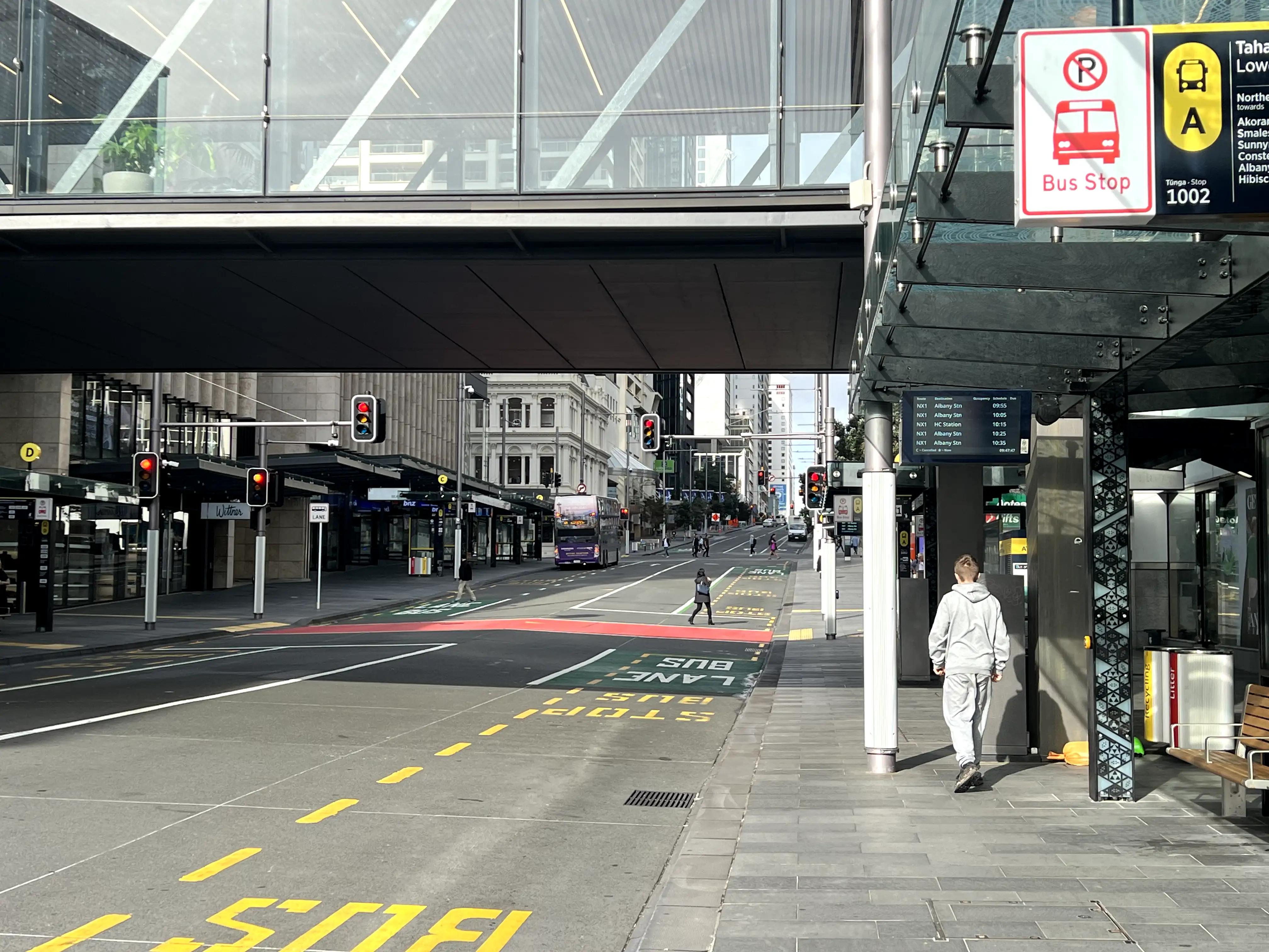 新西兰真实打工视频 (新西兰打工真实收入)