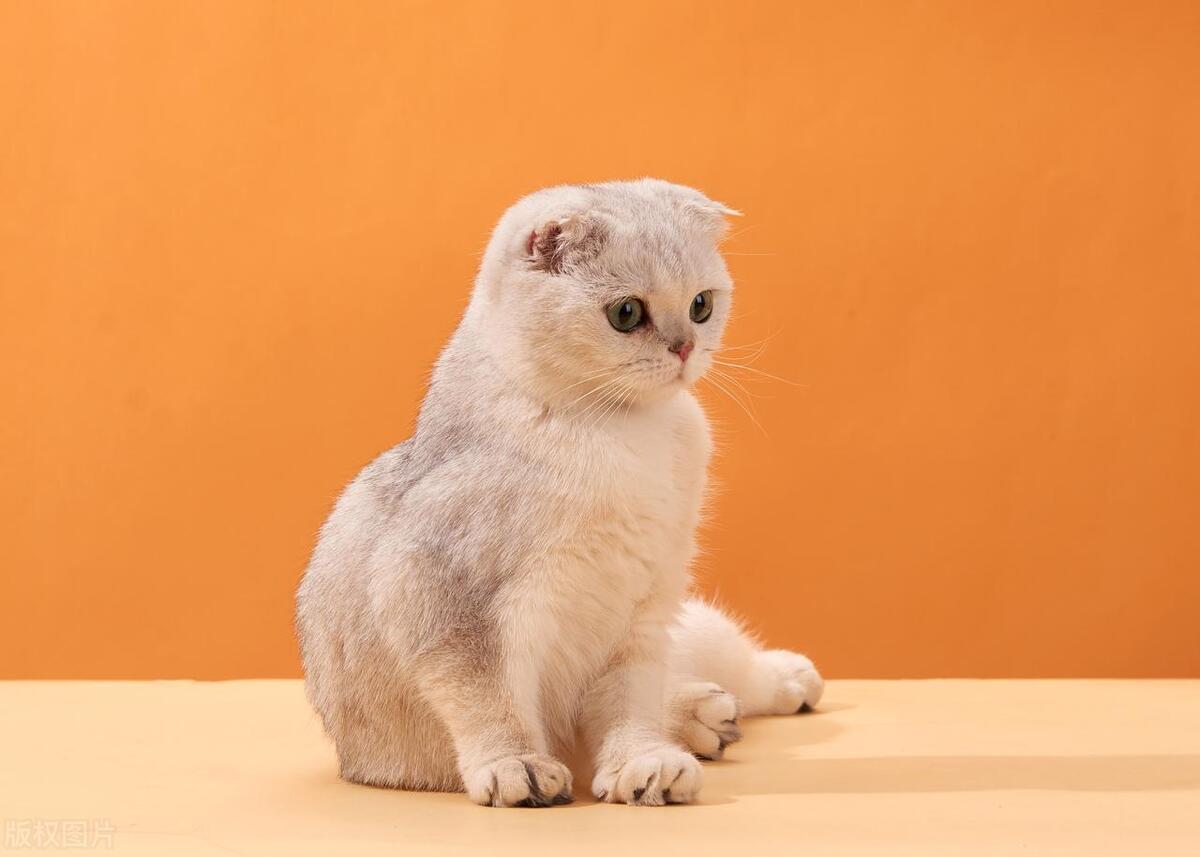 新加坡移民方式有哪些,新加坡移民都有什么移民项目