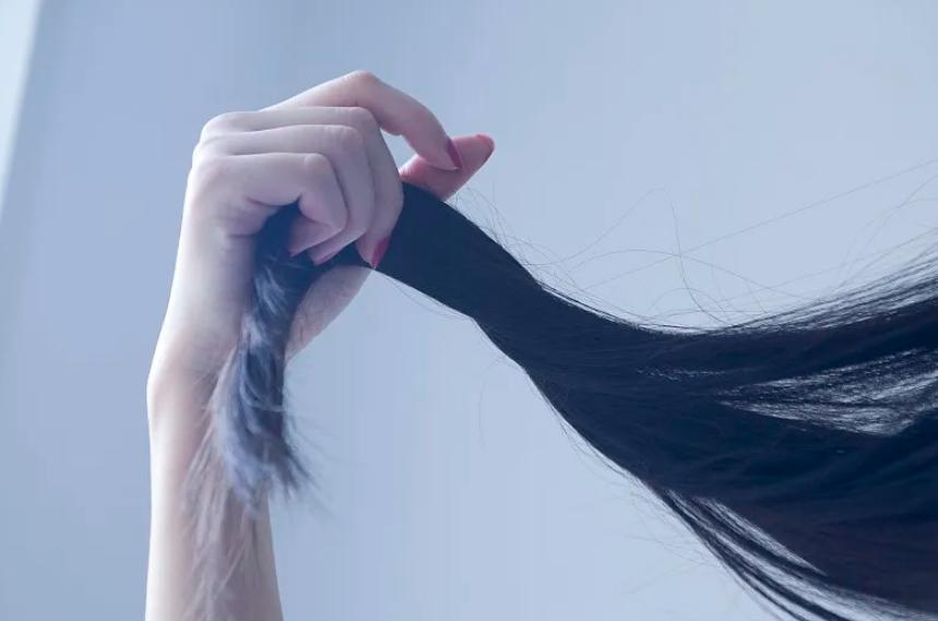 为什么头发越长越分叉,为什么头发一长就容易分叉