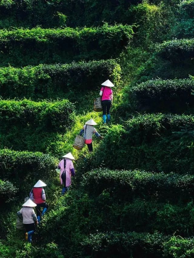 广东惠州旅游攻略3天自由行,惠州罗浮山2天一夜游