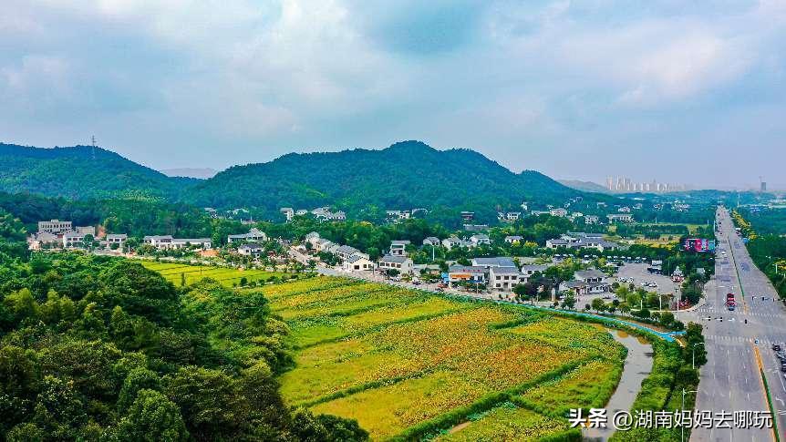 长沙近郊一日自驾游攻略,长沙大观园旅游攻略