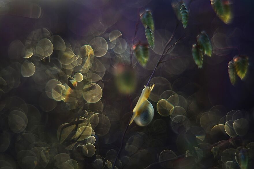 大自然的美景秋天摄影照片,美丽的大自然春夏秋冬图片大全