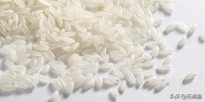 孙权趁刘备北伐偷袭荆州,偷袭荆州到底是谁的谋略