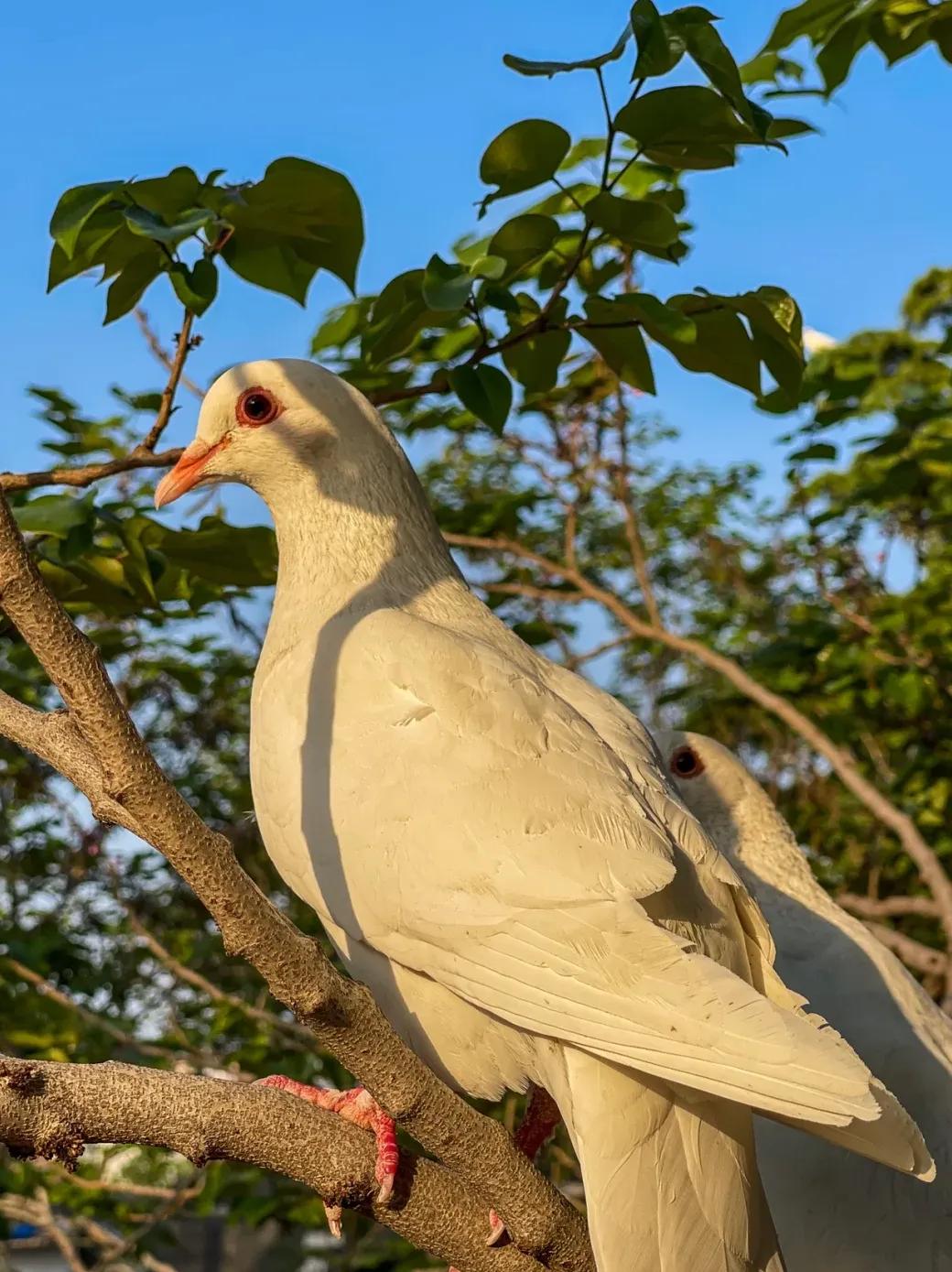 郑州游玩必去之处,郑州游玩的好地方推荐