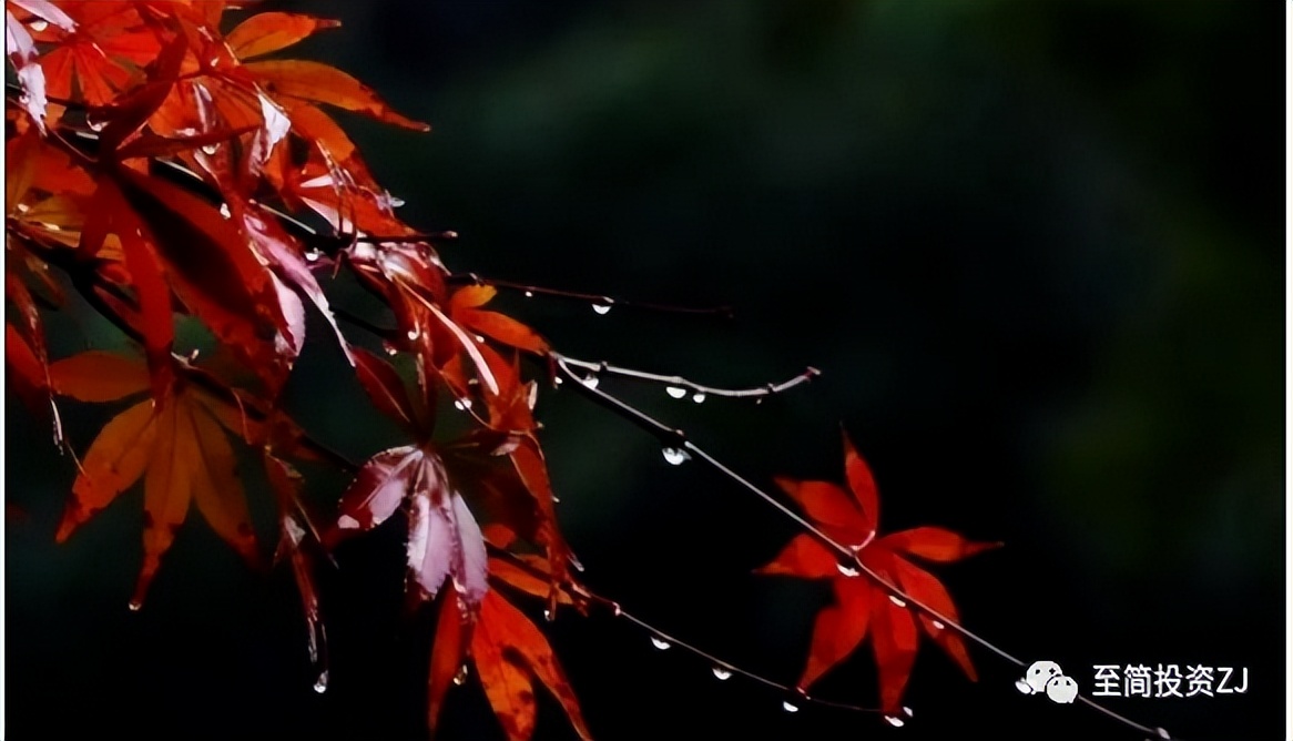 期货孟德稳谈日内入场点,期货操作技巧在线学习