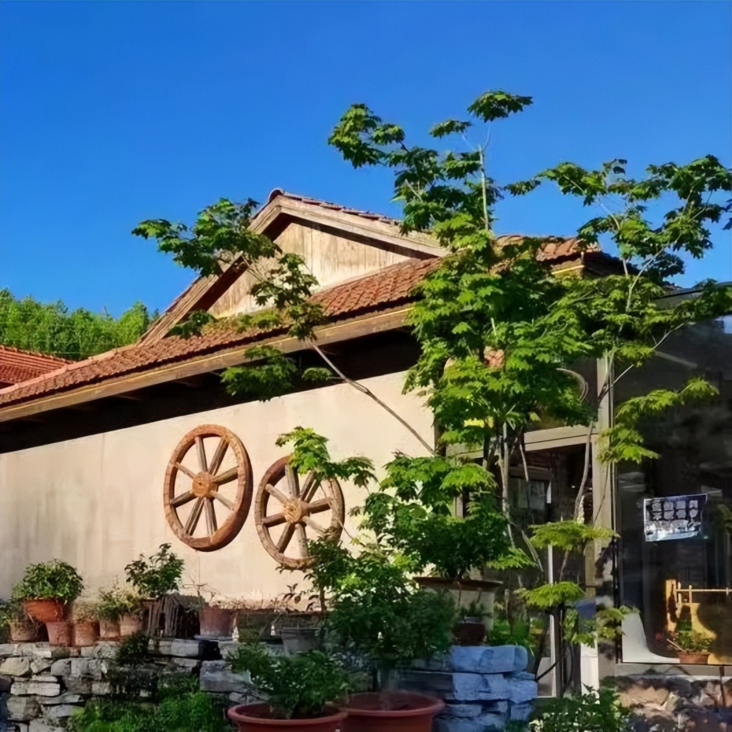 吉林白山九中毕业旅行,毕业旅行就去云南