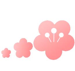 6月20日，“浙”次大会为她们而开