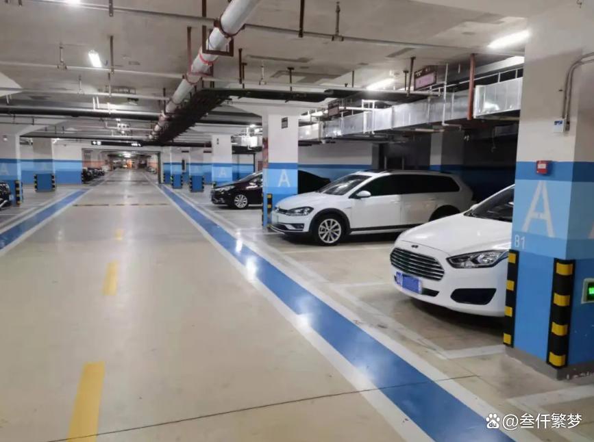 女子买下几百车位后续,女子花千万买断196个车位