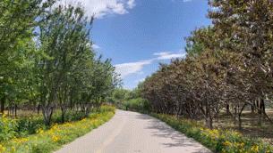 太阳把皮肤晒坏了怎么修复,晒后皮肤痒如何修复