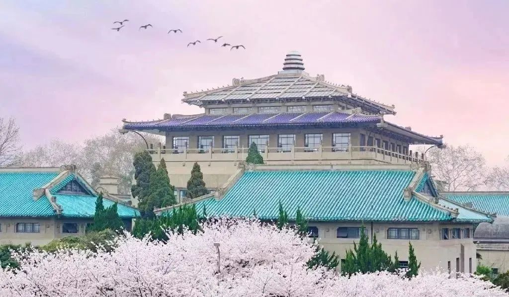 日本100个最佳樱花景点,日本十大樱花景点